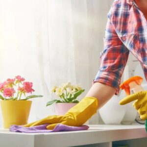 1 Bedroom Home Cleaning Services