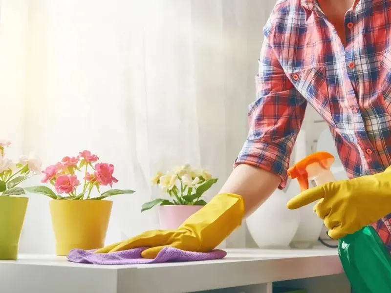 1 Bedroom Home Cleaning Services