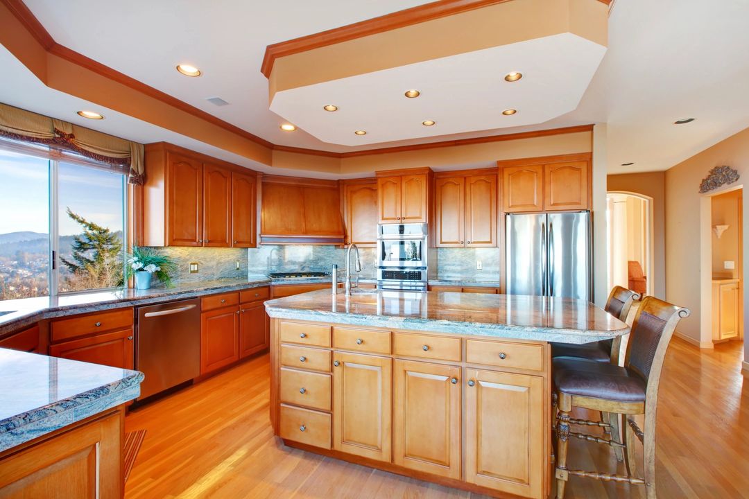 Clean Luxuriant Kitchen