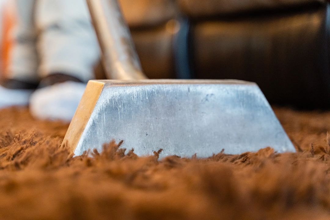 Cleaning the Carpet on the Floor